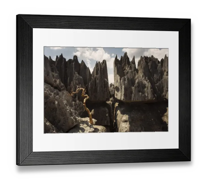 Framed Print : Tsingy de Bemaraha National Park. Unesco World Heritage in Madagascar Framed Print : Tsingy de Bemaraha National Park. Unesco World Heritage in Madagascar