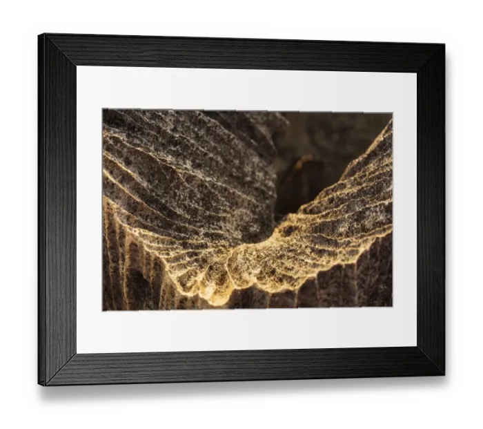 Framed Print : Tsingy de Bemaraha National Park. Unesco World Heritage in Madagascar Framed Print : Tsingy de Bemaraha National Park. Unesco World Heritage in Madagascar