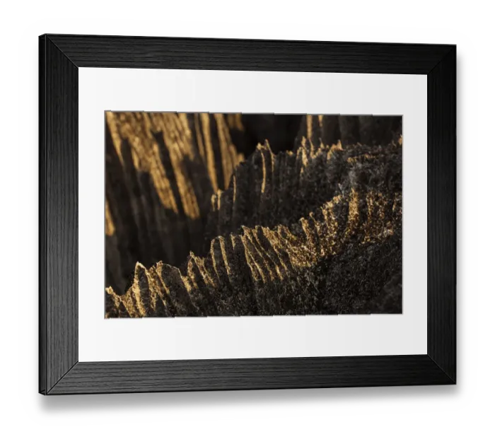 Framed Print : Tsingy de Bemaraha National Park. Unesco World Heritage in Madagascar