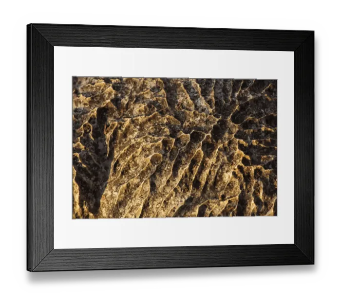 Framed Print : Tsingy de Bemaraha National Park. Unesco World Heritage in Madagascar Framed Print : Tsingy de Bemaraha National Park. Unesco World Heritage in Madagascar