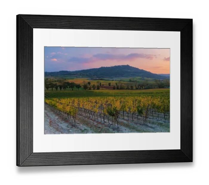 Framed Print : Brunello Montalcino vineyards and city in autumn at sunset