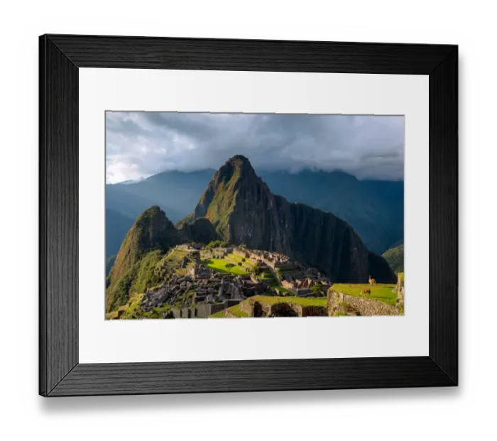 Framed Print : Lama enjoying sunset in Machu Picchu inca ruins Framed Print : Lama enjoying sunset in Machu Picchu inca ruins