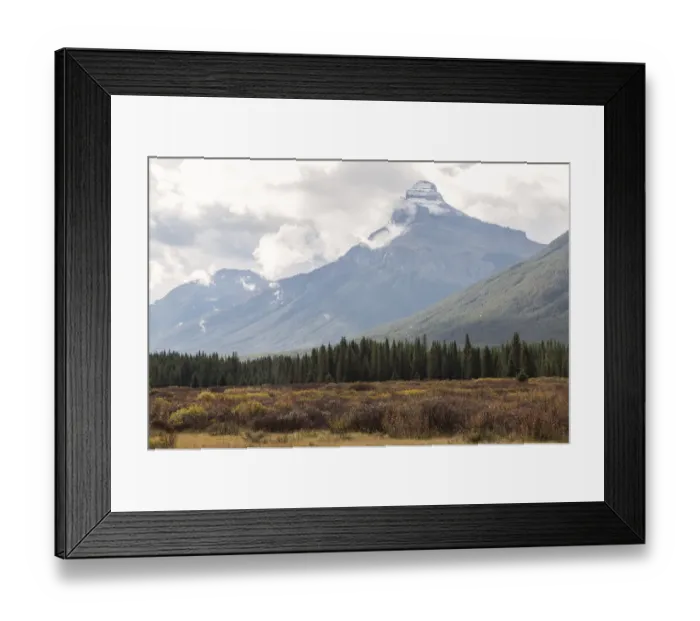 Framed Print : Pilot Mountain in Fall, Banff National Park Framed Print : Pilot Mountain in Fall, Banff National Park