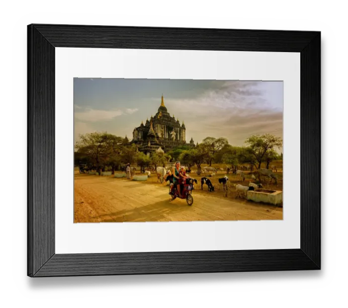 Framed Print : A tourist family driving around bagan temples, Myanmar Framed Print : A tourist family driving around bagan temples, Myanmar