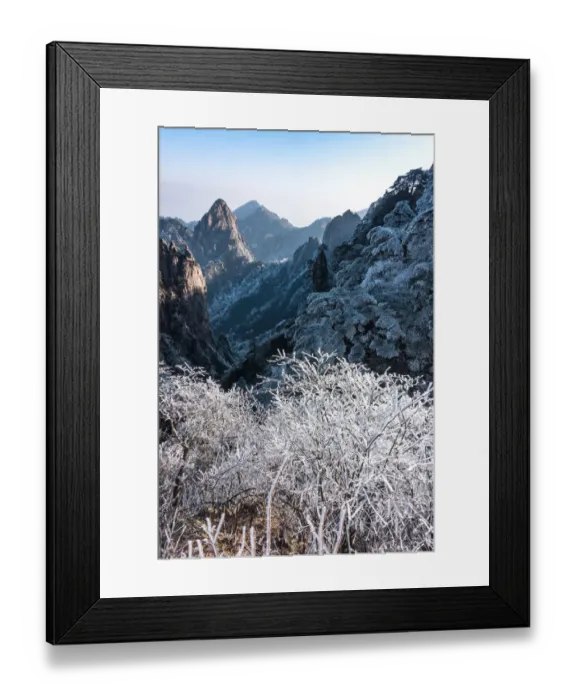 Framed Print : frozen pine, Mt. huangshan, Anhui, China Framed Print : frozen pine, Mt. huangshan, Anhui, China