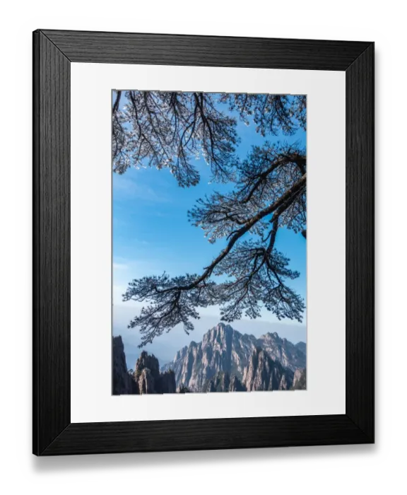 Framed Print : frozen pine, Mt. huangshan, Anhui, China Framed Print : frozen pine, Mt. huangshan, Anhui, China