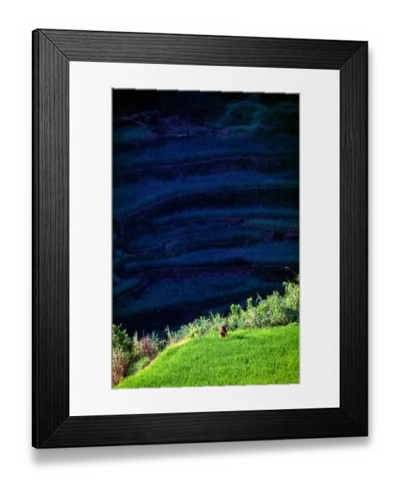 Framed Print : The Banaue Rice Terraces Framed Print : The Banaue Rice Terraces