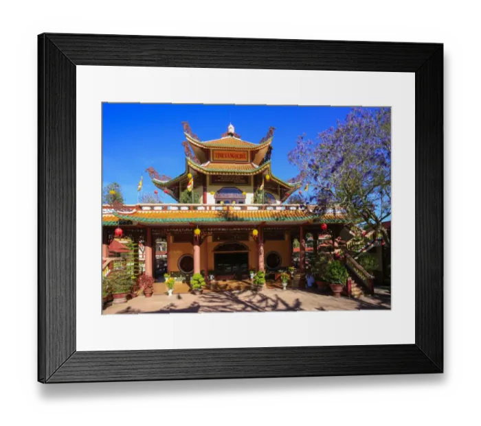 Framed Print : Vietnam Pagoda with jacaranda blossom Framed Print : Vietnam Pagoda with jacaranda blossom