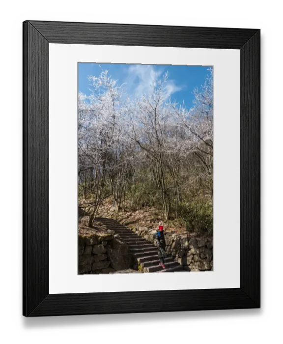 Framed Print : Huangshan (Yellow Mountains), Eastern China Framed Print : Huangshan (Yellow Mountains), Eastern China