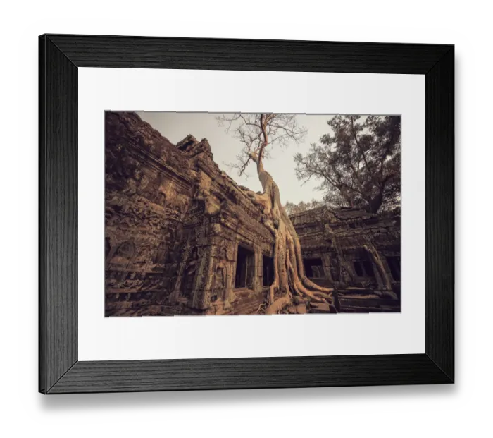 Framed Print : Banyan tree root covering Ruin prasat Ta phrom Framed Print : Banyan tree root covering Ruin prasat Ta phrom