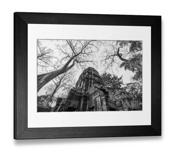 Framed Print : Banyan tree root covering Ruin prasat Ta phrom
