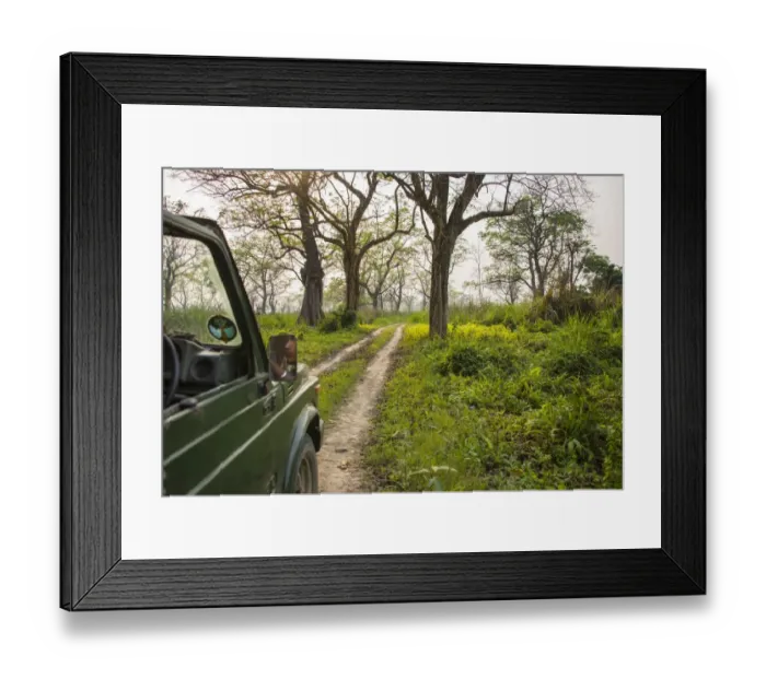Framed Print : Chitwan National Park Safari, Terai Region, Nepal Framed Print : Chitwan National Park Safari, Terai Region, Nepal