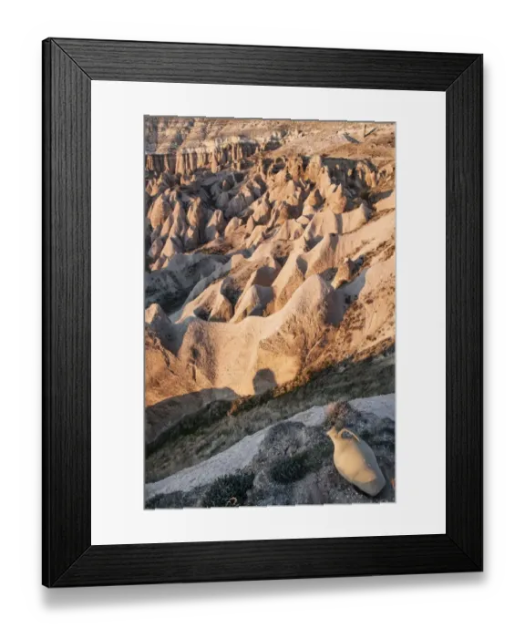 Framed Print : Turkey, Cappadocia, Love Valley, Landscape with rock formations Framed Print : Turkey, Cappadocia, Love Valley, Landscape with rock formations