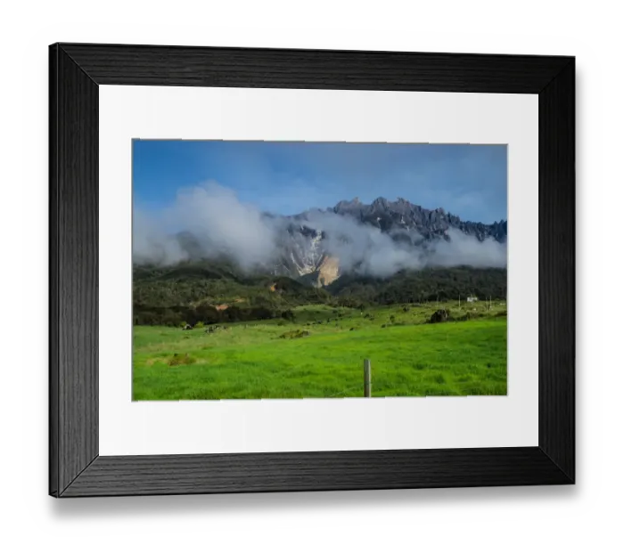 Framed Print : Dairy farm in Kundasang, Sabah Framed Print : Dairy farm in Kundasang, Sabah