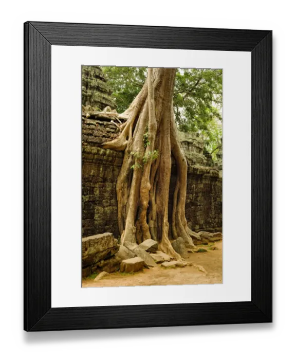 Framed Print : Ta prohm temple Framed Print : Ta prohm temple