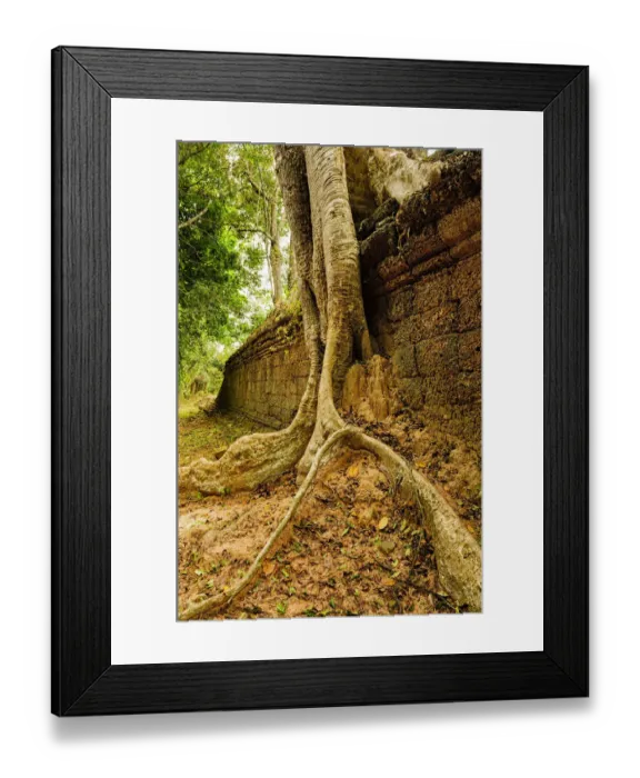 Framed Print : Preah Khan temple Framed Print : Preah Khan temple