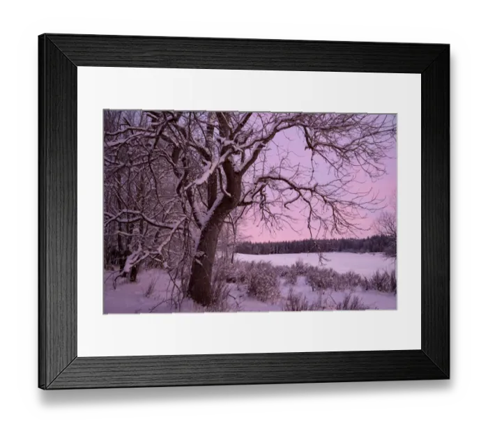 Framed Print : Idyllic winter scene, early morning, extremely low temperature Framed Print : Idyllic winter scene, early morning, extremely low temperature