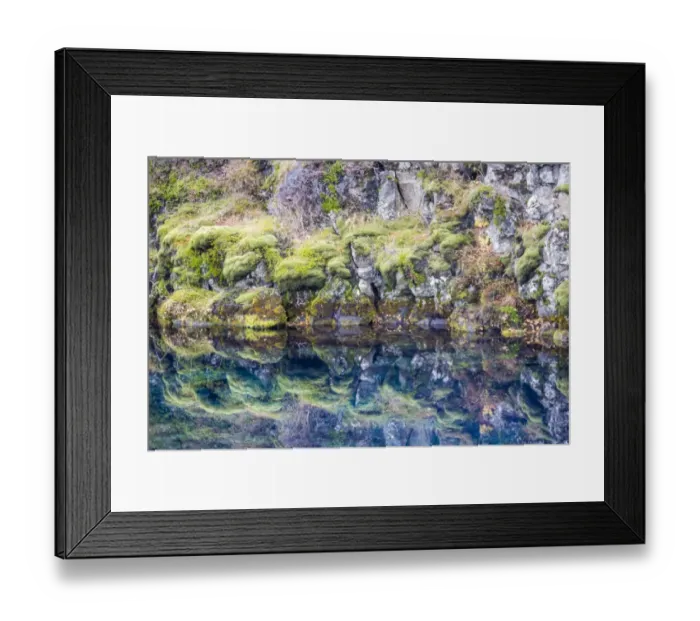 Framed Print : Reflection of Icelandic moss and flora in Pingvallavatn lake, Pingvellir Framed Print : Reflection of Icelandic moss and flora in Pingvallavatn lake, Pingvellir