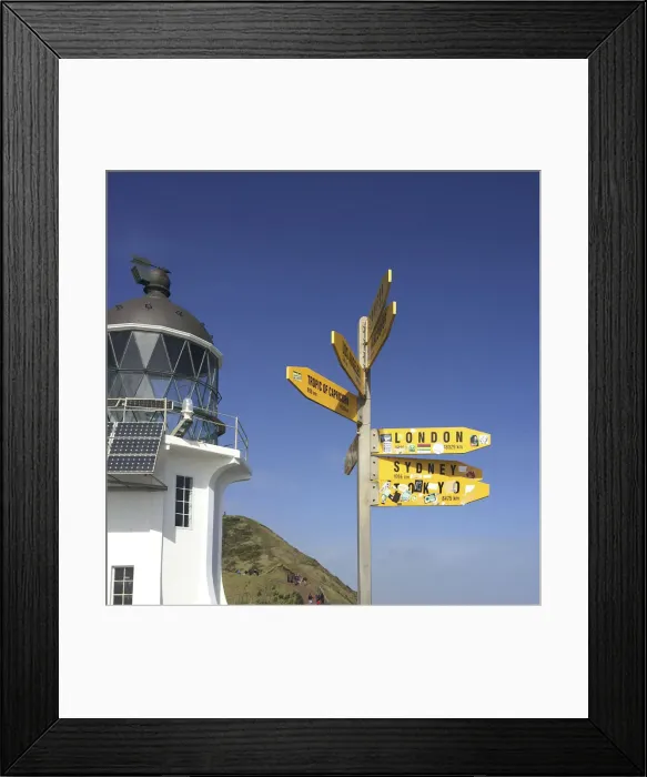 Framed Print : North New Zealand Framed Print : North New Zealand