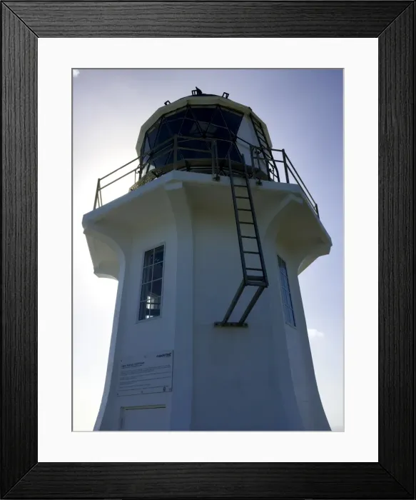 Framed Print : North New Zealand Framed Print : North New Zealand
