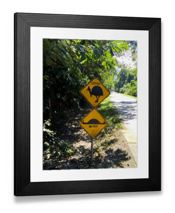 Framed Print : Eco Tours at Daintree National Park Framed Print : Eco Tours at Daintree National Park