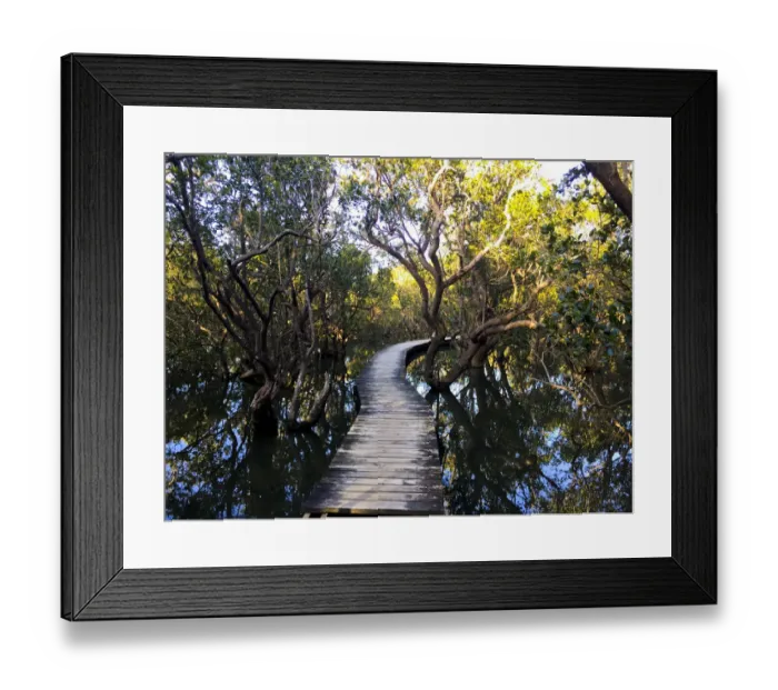 Framed Print : Eco Tours at Daintree National Park Framed Print : Eco Tours at Daintree National Park