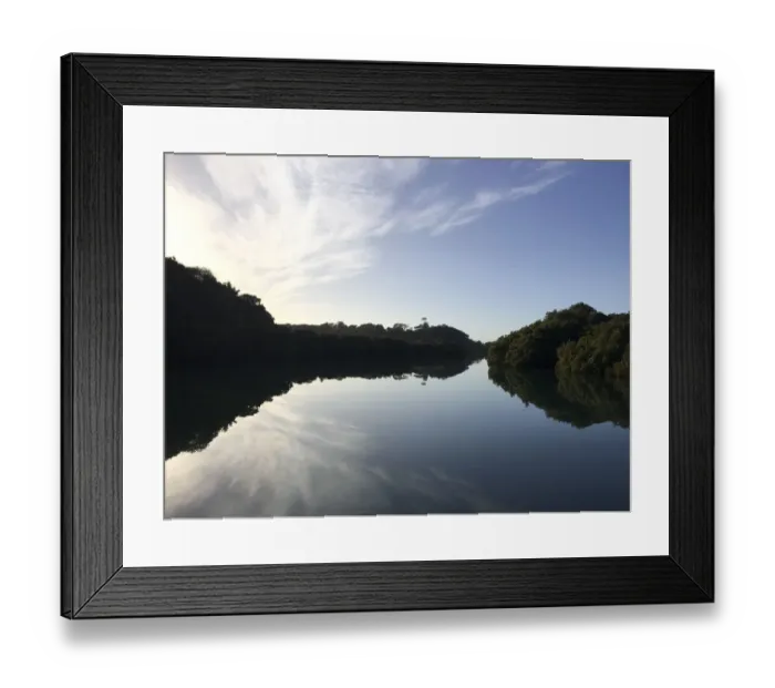 Framed Print : Eco Tours at Daintree National Park Framed Print : Eco Tours at Daintree National Park