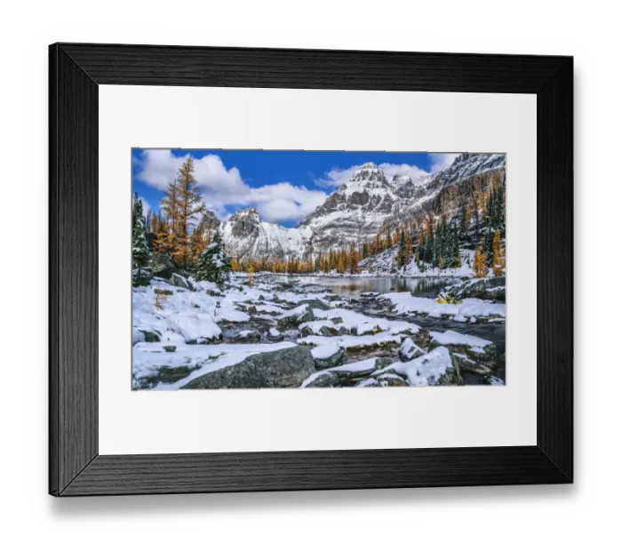 Framed Print : Autumn Scenery In Canadian Rockies, Lake O Hara, Yoho National Park, British Columbia, Canada Framed Print : Autumn Scenery In Canadian Rockies, Lake O Hara, Yoho National Park, British Columbia, Canada