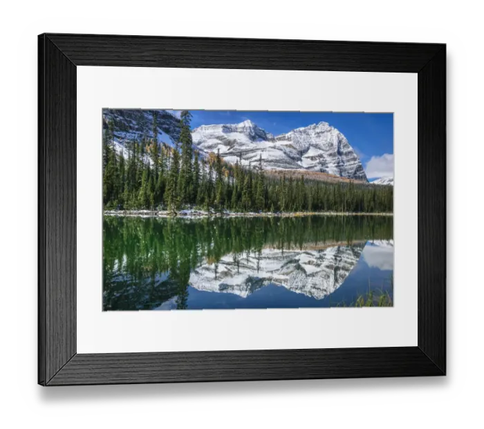 Framed Print : Odaray Mountain & Mary Lake, Lake O Hara, Yoho National Park, British Columbia, Canada Framed Print : Odaray Mountain & Mary Lake, Lake O Hara, Yoho National Park, British Columbia, Canada