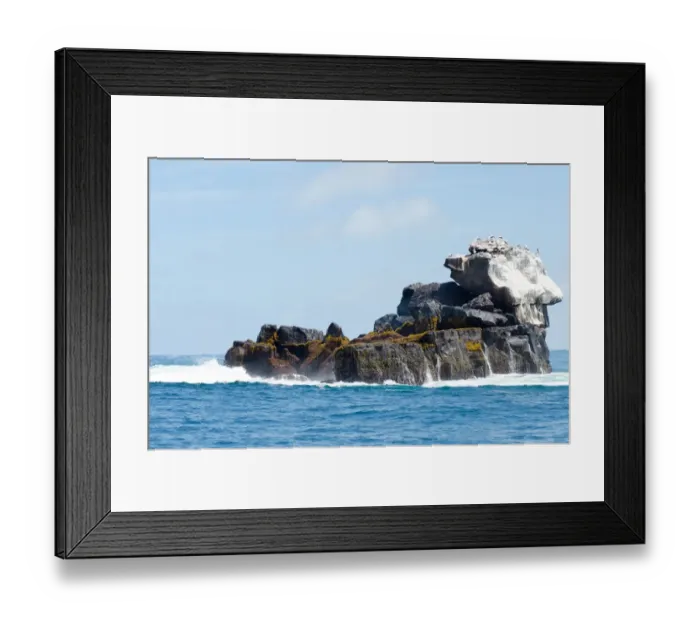 Framed Print : Birds on the sea. Galapagos Island Framed Print : Birds on the sea. Galapagos Island