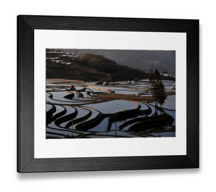 Framed Print : Terraces. Terraced fields have been being officially acknowledged by UNESCO Framed Print : Terraces. Terraced fields have been being officially acknowledged by UNESCO