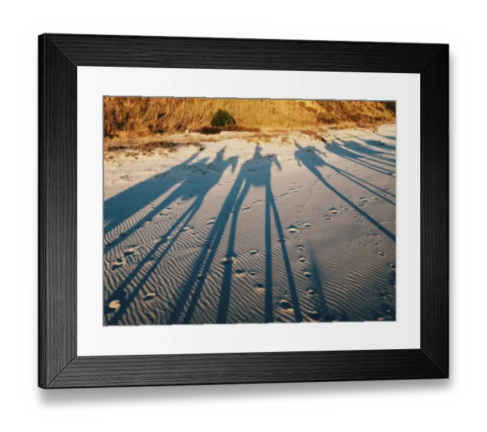 Framed Print : Horse Trekking at Donana Park, Andalucia Framed Print : Horse Trekking at Donana Park, Andalucia
