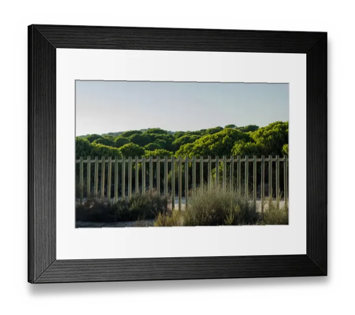 Framed Print : detail of Donana Park, Andalucia Framed Print : detail of Donana Park, Andalucia