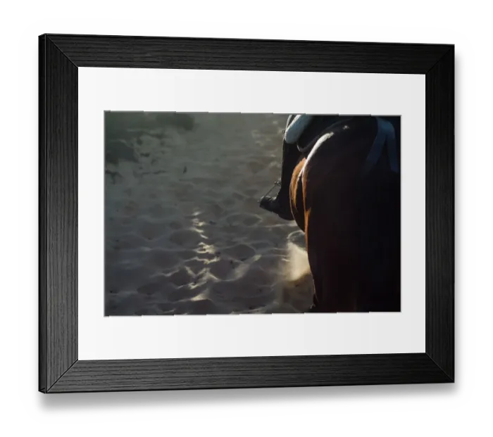 Framed Print : Horse Trekking at Donana Park, Andalucia Framed Print : Horse Trekking at Donana Park, Andalucia