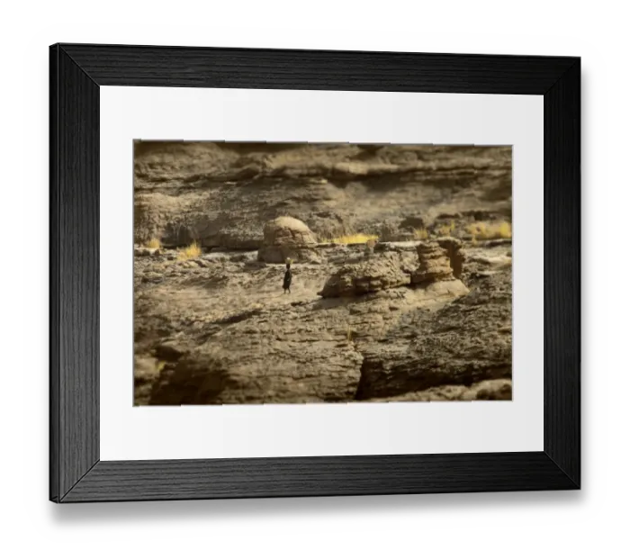 Framed Print : Dogon land, Tireli, Mali, Africa - daily trail to the water collected Framed Print : Dogon land, Tireli, Mali, Africa - daily trail to the water collected