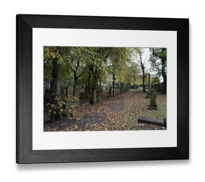 Framed Print : Graveyard in autumn, Edinburgh, Scotland, United Kigndom Framed Print : Graveyard in autumn, Edinburgh, Scotland, United Kigndom