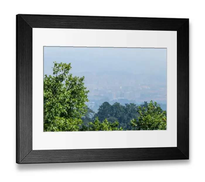 Framed Print : Native forest of Sintra Portugal Framed Print : Native forest of Sintra Portugal