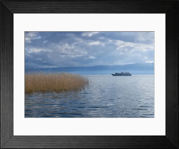 Framed Print : Reed amidst the blues Framed Print : Reed amidst the blues