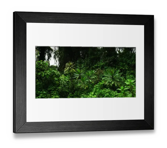 Framed Print : Panorama of the dense jungles of Volcanoes National Park, Rwanda Framed Print : Panorama of the dense jungles of Volcanoes National Park, Rwanda
