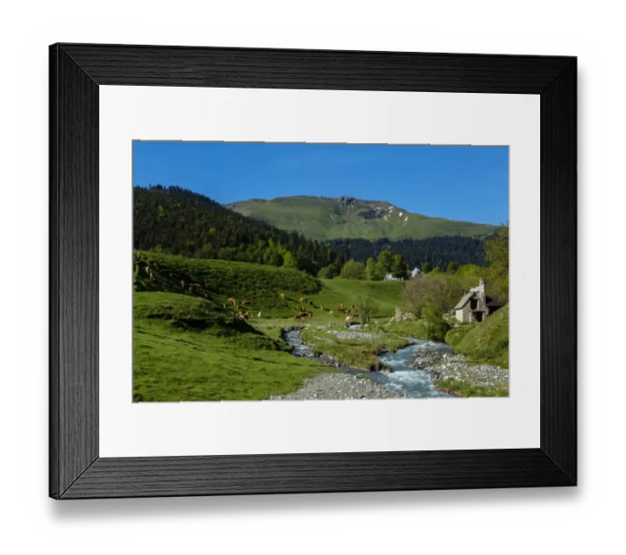 Framed Print : Pasture near the col d Aspin, Hautes Pyrenees, France Framed Print : Pasture near the col d Aspin, Hautes Pyrenees, France