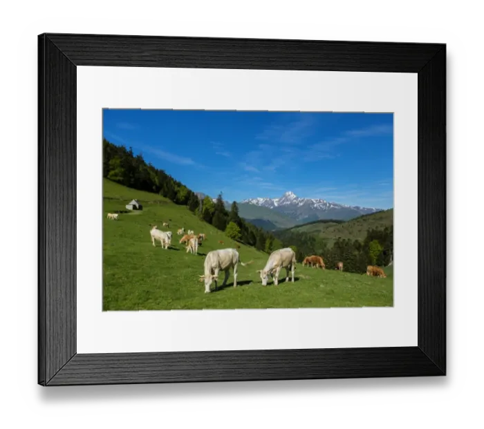 Framed Print : Pasture in the col d Aspin, Hautes Pyrenees, France Framed Print : Pasture in the col d Aspin, Hautes Pyrenees, France
