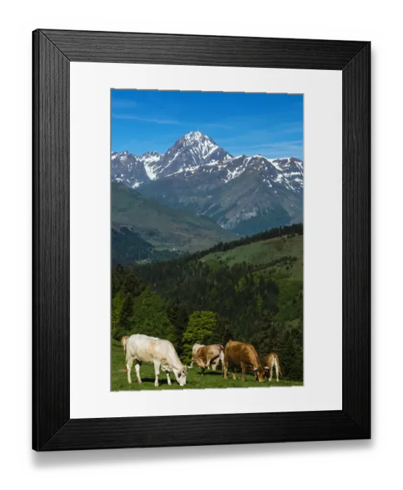 Framed Print : Pasture in the col d Aspin, Hautes Pyrenees, France Framed Print : Pasture in the col d Aspin, Hautes Pyrenees, France