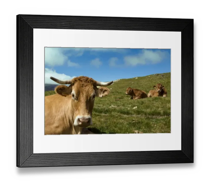 Framed Print : Cirque de Troumouse, Hautes Pyrenees, Midi Pyrenees, France Framed Print : Cirque de Troumouse, Hautes Pyrenees, Midi Pyrenees, France