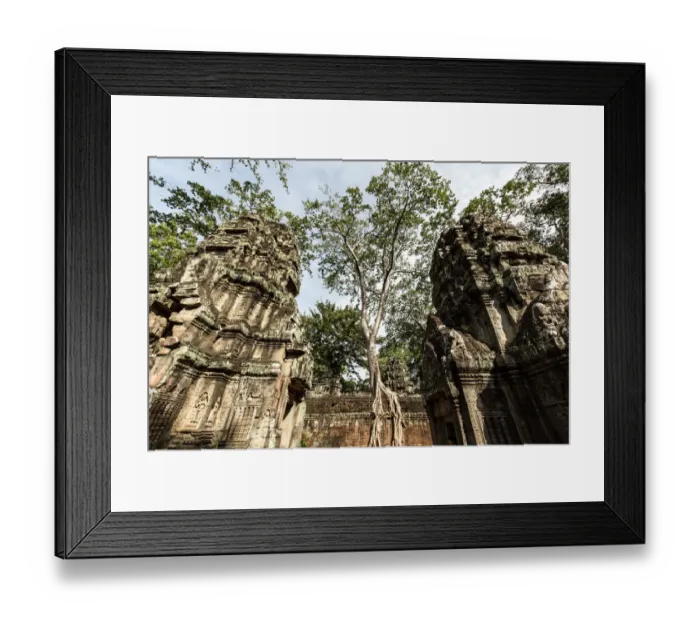 Framed Print : Ta Prohm Temple in Angkor, Cambodia Framed Print : Ta Prohm Temple in Angkor, Cambodia