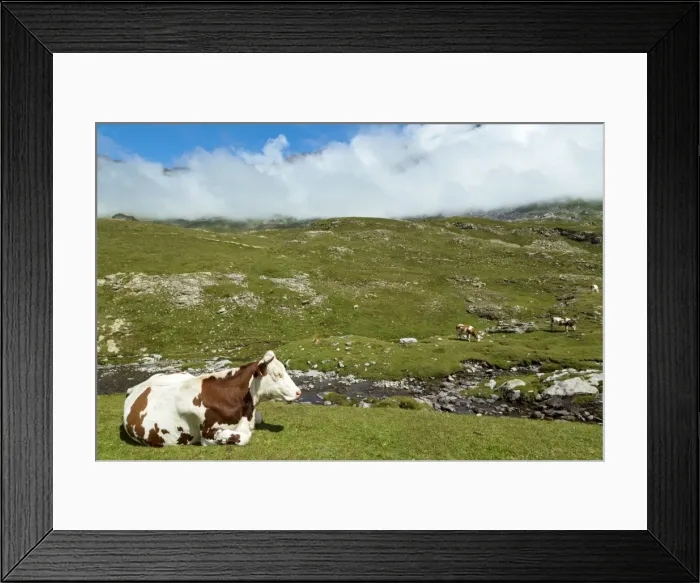 Framed Print : The Cirque De Troumouse, Hautes Pyrenees, Midi Pyrenees, France Framed Print : The Cirque De Troumouse, Hautes Pyrenees, Midi Pyrenees, France