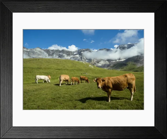 Framed Print : The Cirque De Troumouse, Hautes Pyrenees, Midi Pyrenees, France Framed Print : The Cirque De Troumouse, Hautes Pyrenees, Midi Pyrenees, France