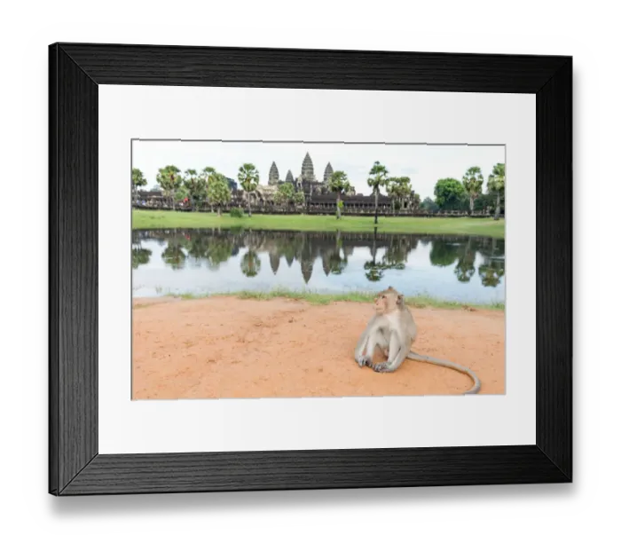 Framed Print : A Monkey at Angkor Wat, Cambodia Framed Print : A Monkey at Angkor Wat, Cambodia