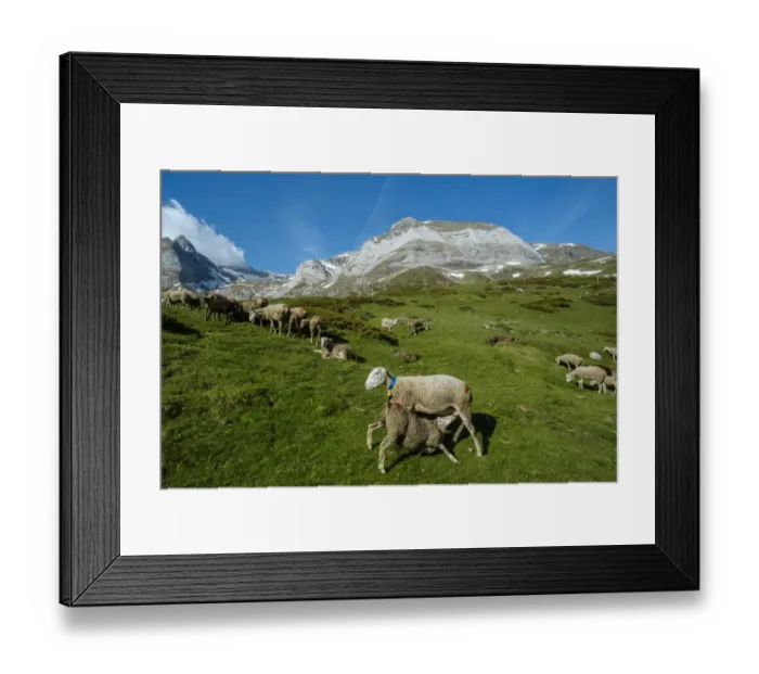 Framed Print : The Troumouse cirque, national park of Pyrenees, Hautes Pyrenees, France Framed Print : The Troumouse cirque, national park of Pyrenees, Hautes Pyrenees, France
