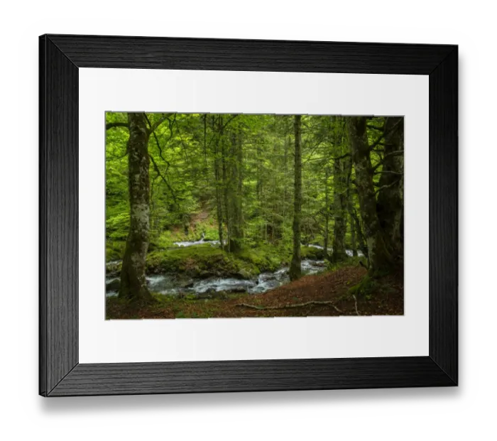 Framed Print : The forest in the Lesponne Valley, national park of Pyrenees, Hautes Pyrenees, France