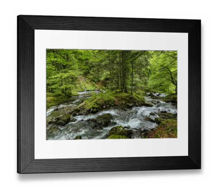 Framed Print : The forest in the Lesponne Valley, national park of Pyrenees, Hautes Pyrenees, France Framed Print : The forest in the Lesponne Valley, national park of Pyrenees, Hautes Pyrenees, France